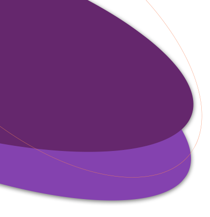 <strong style=" letter-spacing: -1px"> Programa <br>Lideranças Femininas <br> na Gestão Pública</strong>